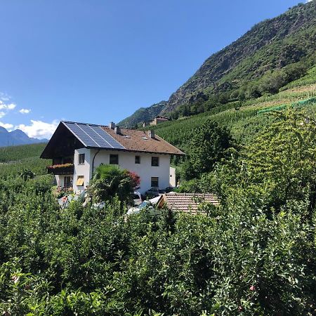 Pixnerhof - Urlaub Am Biohof Apartment กาสเตลเบลโล ภายนอก รูปภาพ