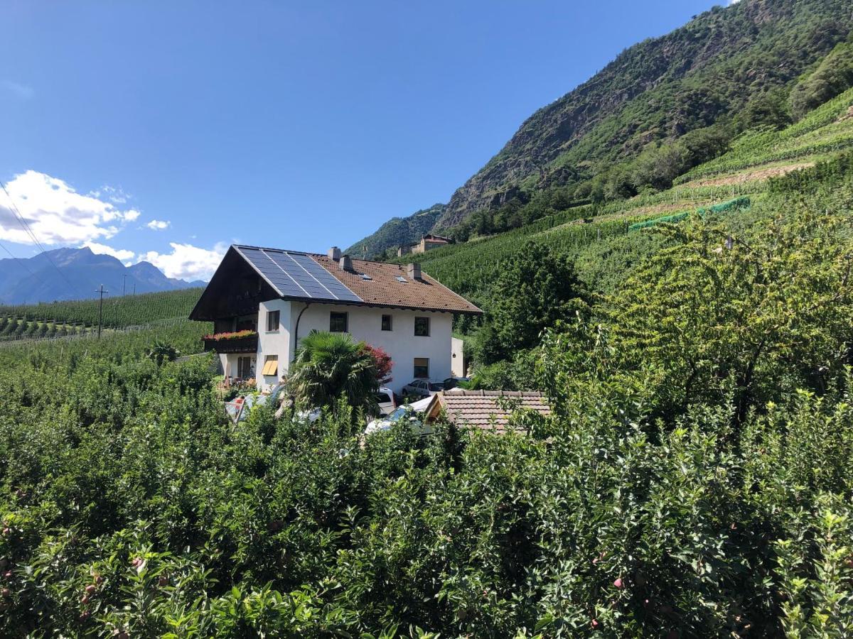 Pixnerhof - Urlaub Am Biohof Apartment กาสเตลเบลโล ภายนอก รูปภาพ