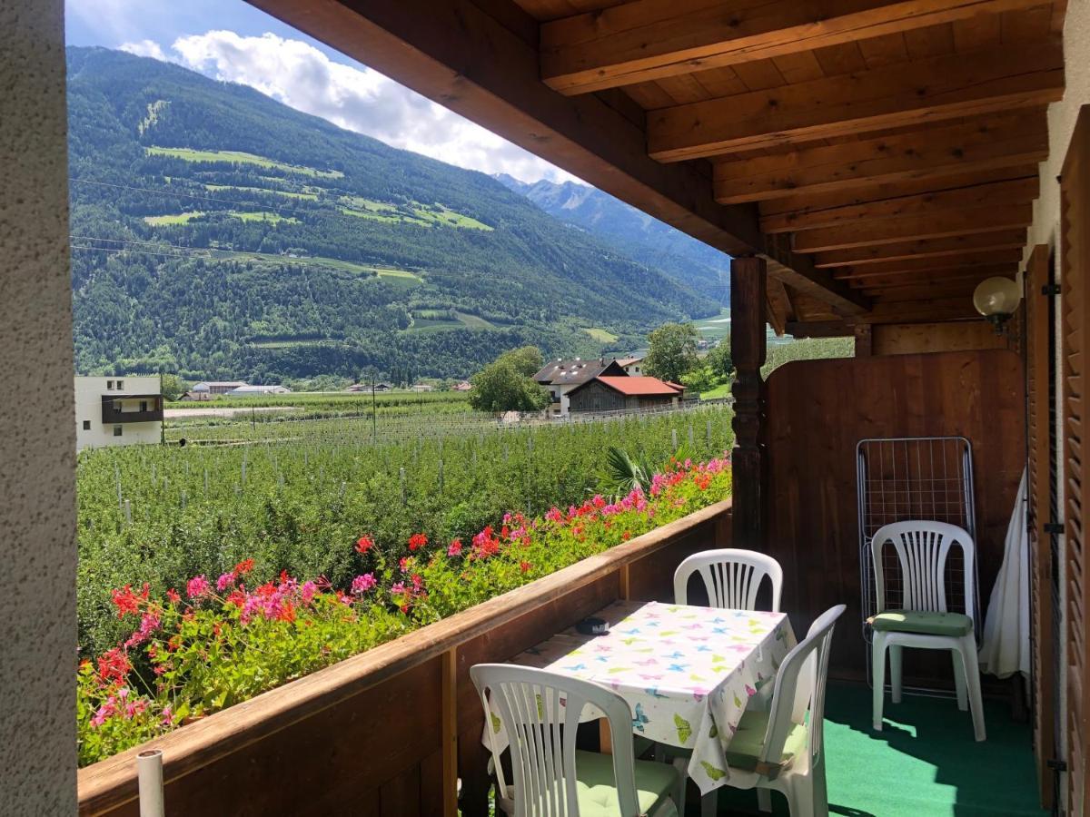 Pixnerhof - Urlaub Am Biohof Apartment กาสเตลเบลโล ภายนอก รูปภาพ