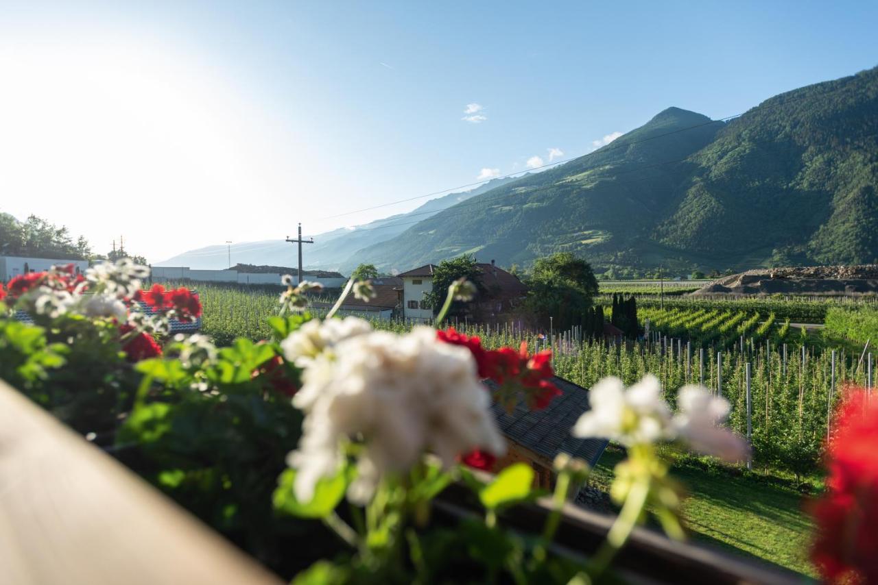 Pixnerhof - Urlaub Am Biohof Apartment กาสเตลเบลโล ภายนอก รูปภาพ