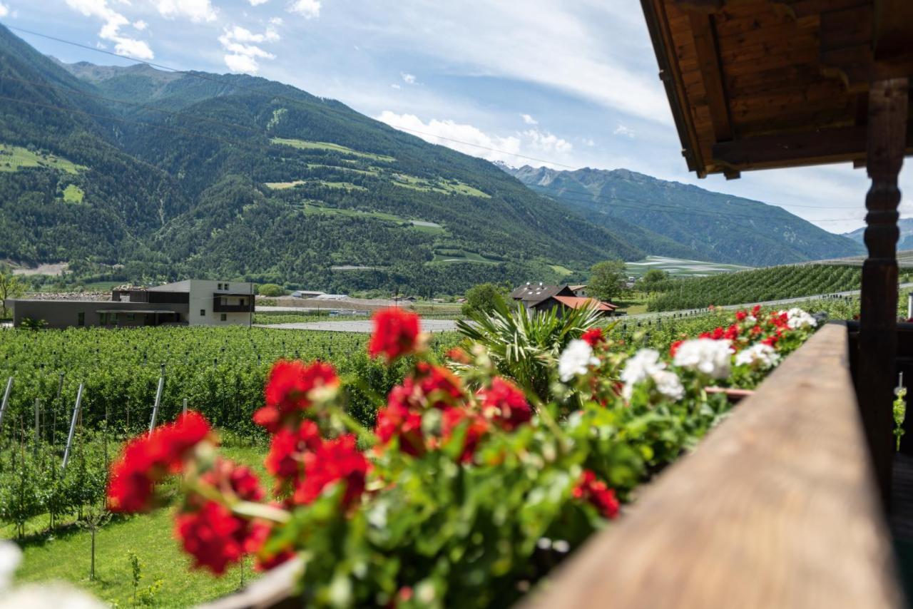 Pixnerhof - Urlaub Am Biohof Apartment กาสเตลเบลโล ภายนอก รูปภาพ