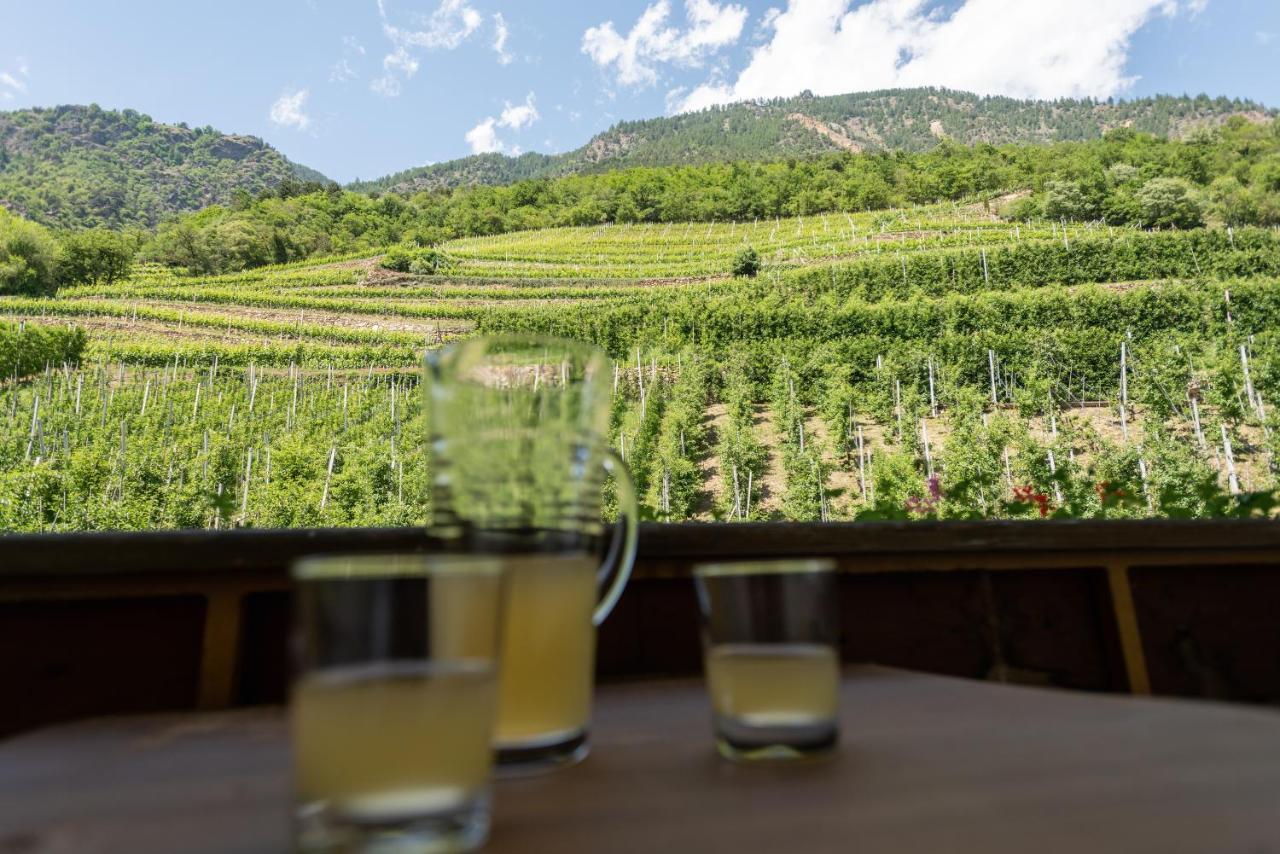 Pixnerhof - Urlaub Am Biohof Apartment กาสเตลเบลโล ภายนอก รูปภาพ