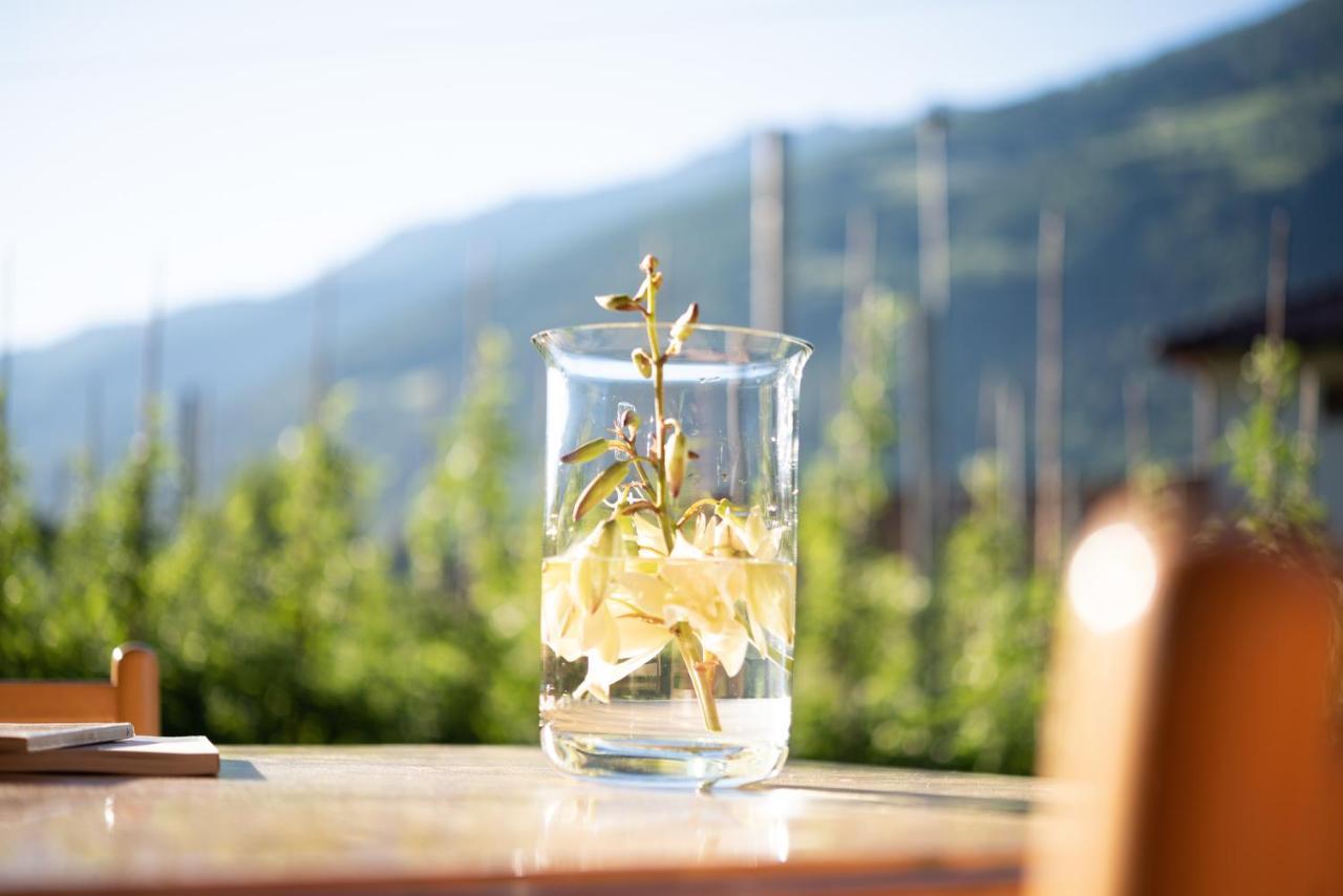 Pixnerhof - Urlaub Am Biohof Apartment กาสเตลเบลโล ภายนอก รูปภาพ